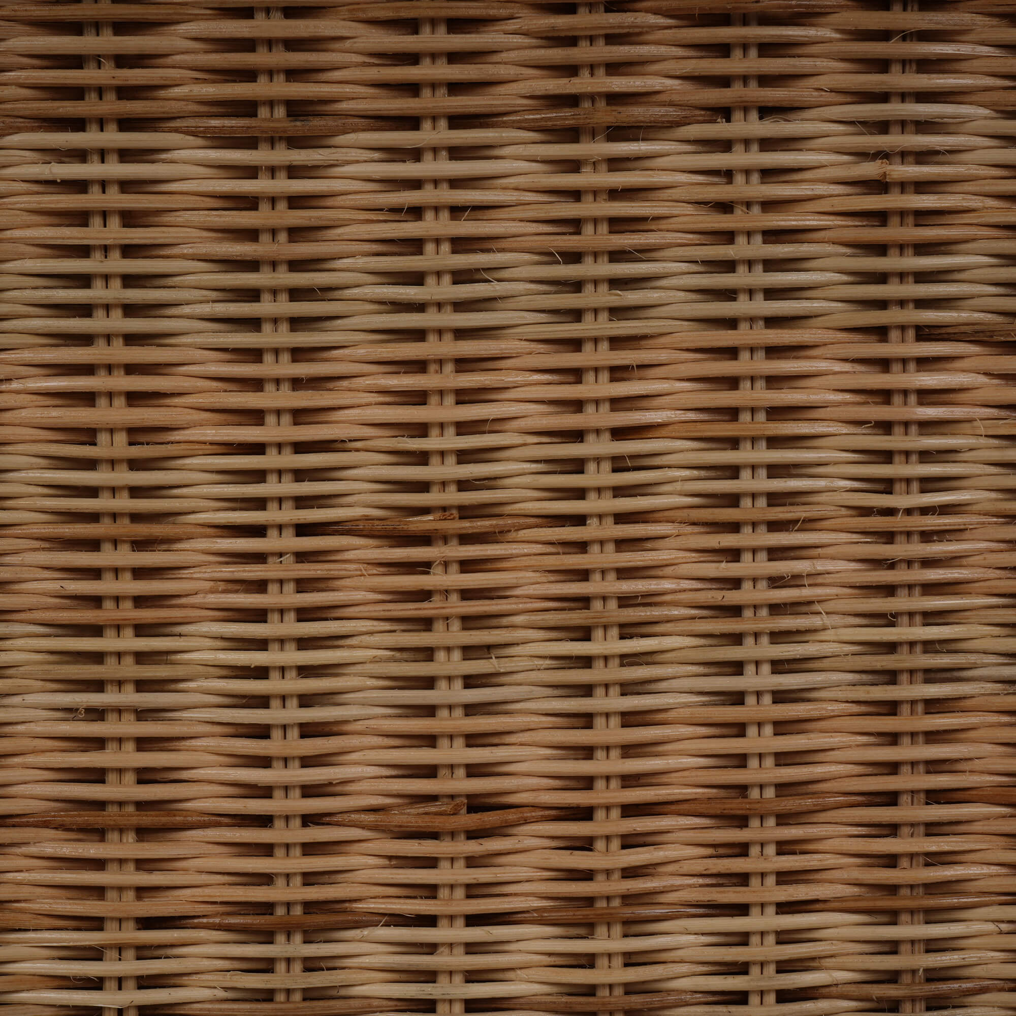 28730RNATSF224----