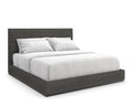 CLA-5423-124-A