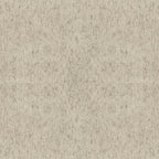 CLA-019-1211