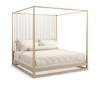 CLA-022-122