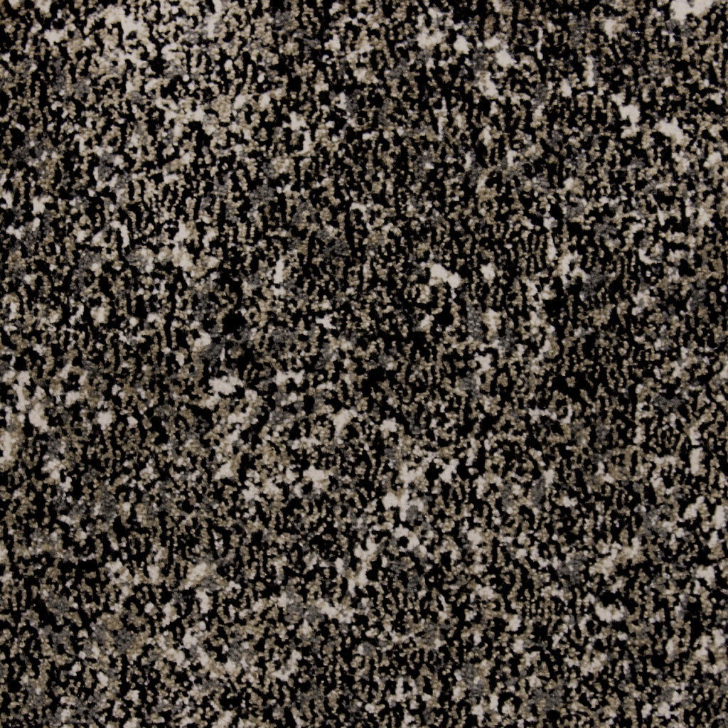 CLA-020-081